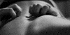 scratching black and white GIF
