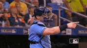 Major League Baseball Sport GIF by MLB