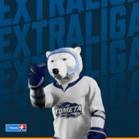 Hockey Hokej GIF by Tipsport extraliga