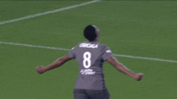 Lets Go Celebration GIF by National Women's Soccer League