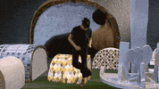 Sub Pop Dancing GIF by Sub Pop Records