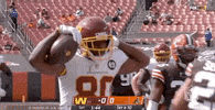 Regular Season Football GIF by NFL