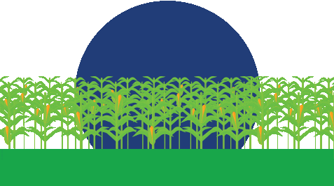 Harvest Maize GIF by ForFarmers