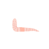 Worm Smile Sticker