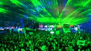 music festival dance GIF by Insomniac Events