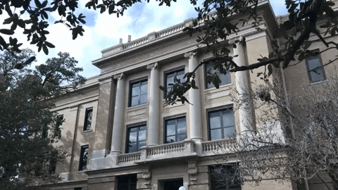 texas am college GIF by Texas A&M University
