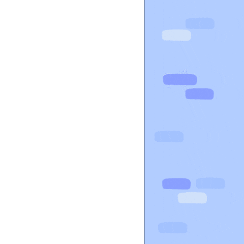 Who Is It What Sticker by Pudgy Penguins