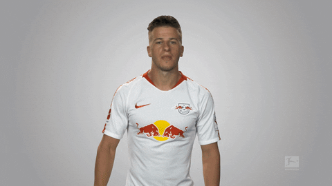 rb leipzig GIF by Bundesliga