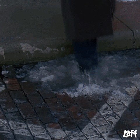 Bill Murray Comedy GIF by Laff