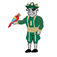 Pirate Usf Sticker by University of South Florida