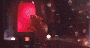 chameleon sound you can see GIF by JBL Audio
