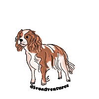 puppy friend Sticker by Ivo Adventures