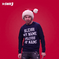 Happy Merry Christmas GIF by SWR3