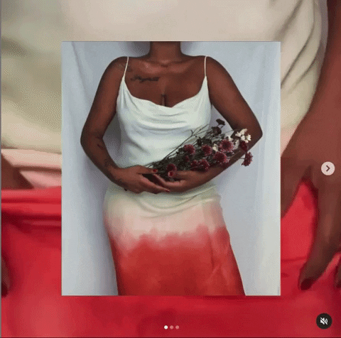 belarofe giphygifmaker GIF