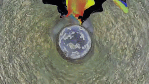 Wanderkid GIF by JW Francis