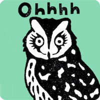 Surprise Understanding GIF