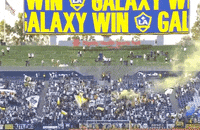 La Galaxy Win GIF by Major League Soccer
