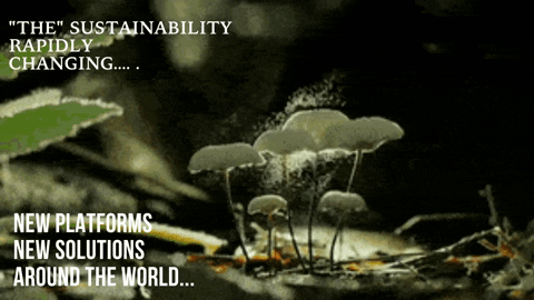 mporsustentabilidade giphyupload sustainabilityscience marcharhporsustentabilidade marcharhforsustainability GIF