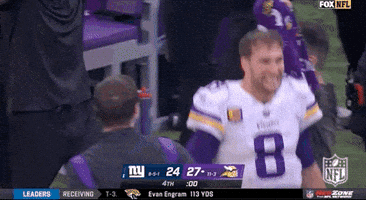 Minnesota Vikings Football GIF by NFL