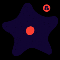 GIF by Raja – škola športu