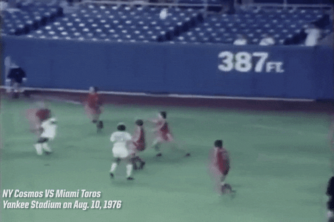 Football Sport GIF by New York Cosmos