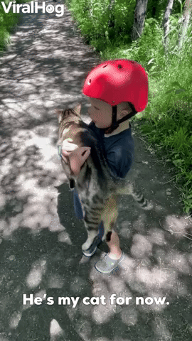 Small Boy “Adopts” Neighbor’s Cat