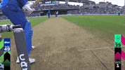 Cricket GIF by The Hundred