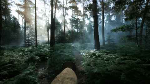 Dinosaur GIF by PBS
