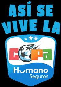Football Futbol GIF by Humanos Seguros