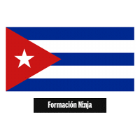 Flag Bandera Sticker by Formación Ninja