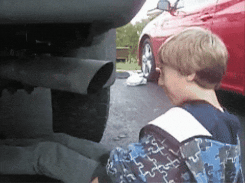 aleoxth giphygifmaker GIF