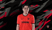 No Idea What GIF by Tribe Gaming