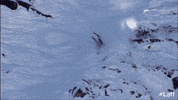 Winter Falling GIF by Laff