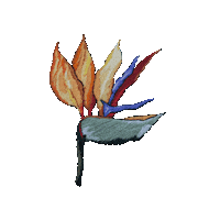 Nomadicnebula Sticker by HeZza FeZza