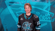 Hang Loose San Jose GIF by San Jose Barracuda