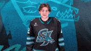 San Jose Idk GIF by San Jose Barracuda