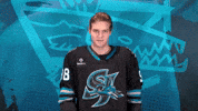 Be Quiet San Jose GIF by San Jose Barracuda