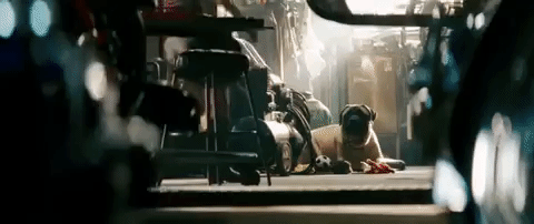 revenge of the fallen transformers GIF