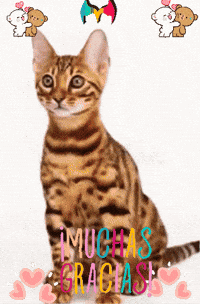 Angel Amigos GIF by Murcianys LLC