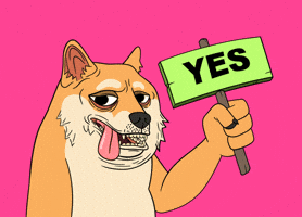 Yes Yes No GIF by Doge Pound