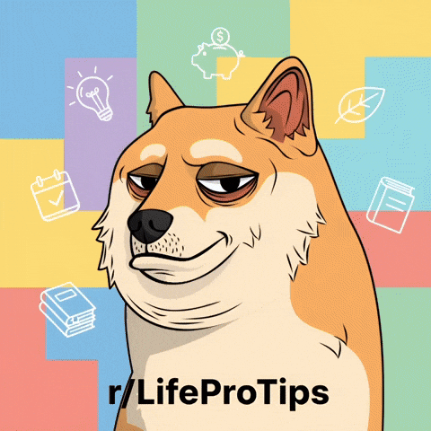 Knowing Shiba Inu GIF by Doge Pound