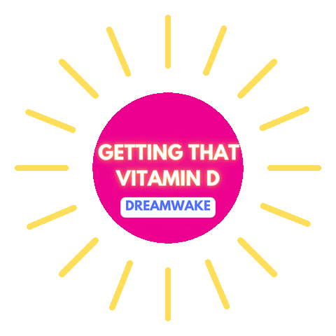 Sun Wake Surfing Sticker by DREAMWAKE Academy