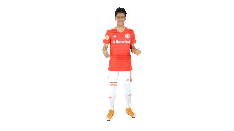 Vamointer Diadeinter Sticker by Sport Club Internacional