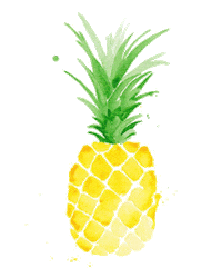 pineapple abacaxi Sticker by Capitão Zeferino