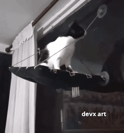Cat Cut GIF by DevX Art