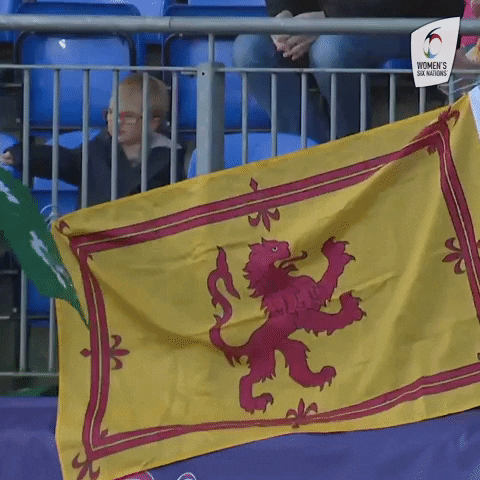 Womens6Nations fan fans womens six nations GIF