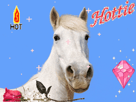 handsome horse GIF by Romy