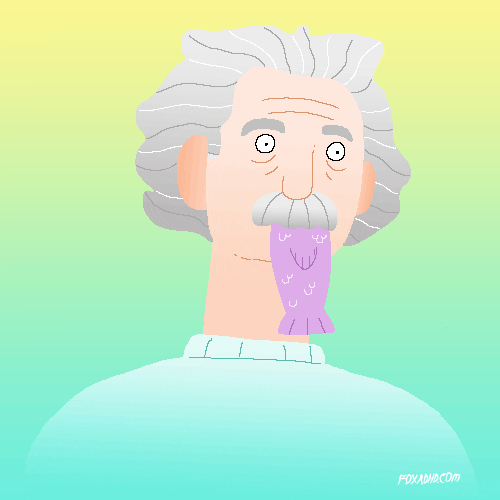 Albert Einstein Fox GIF by Animation Domination High-Def