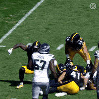Celebration Nfl GIF by Pittsburgh Steelers