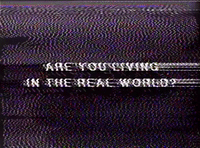 glitch art GIF by GLITCHED MEMORIES